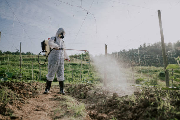  Morocco, IN Pest Control Pros
