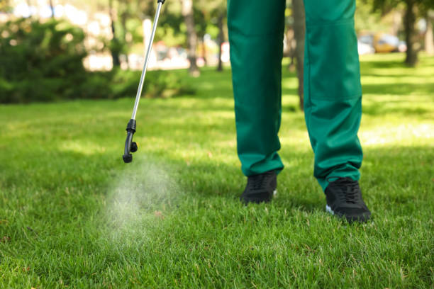 Best Pest Control Near Me  in Morocco, IN